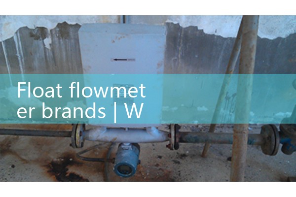 Float flowmeter brand